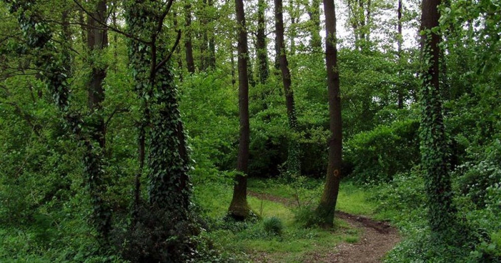 A Rauccio Il Bosco D Inverno Una Domenica Alla Scoperta Della Magia Della Natura